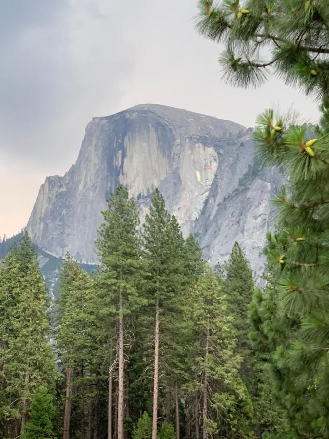 Villa Alta Vista At Yosemite- Stunning Views And Game Room Mariposa Exterior photo